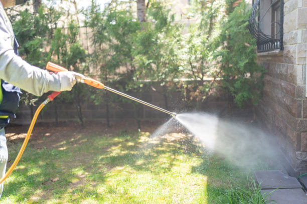 Seasonal Pest Control in Buena Park, CA